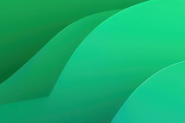 HR & Payroll Management