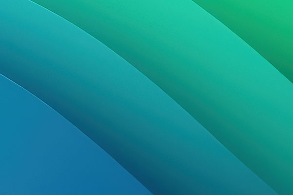 Services for Listed Companies